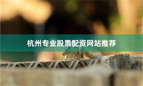 杭州专业股票配资网站推荐